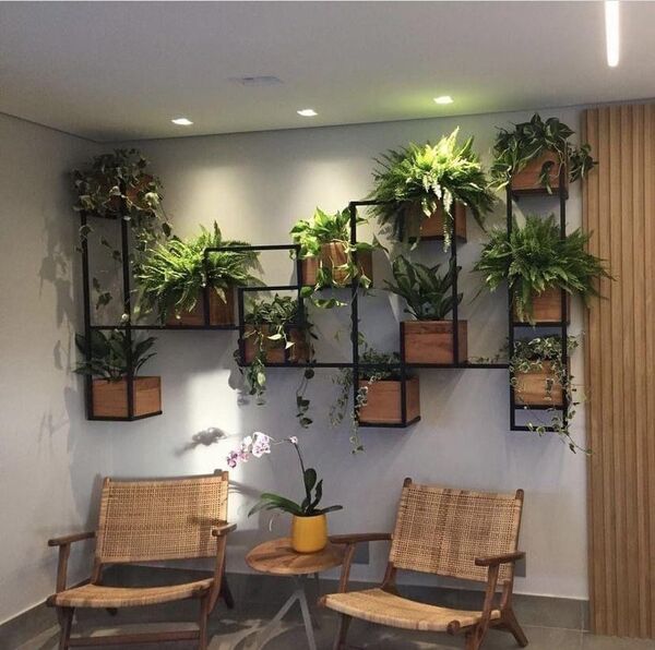 Colț de cameră cu plante de interior, ghivece și lumină naturală